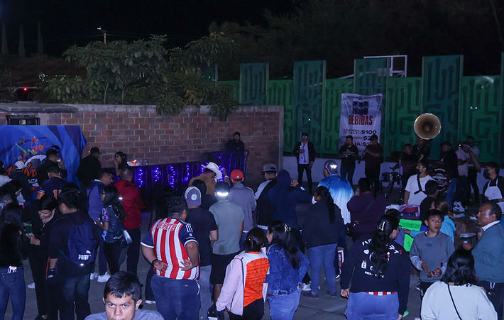 Imagen de la sección de Noticias de los Alebrijes de Oaxaca