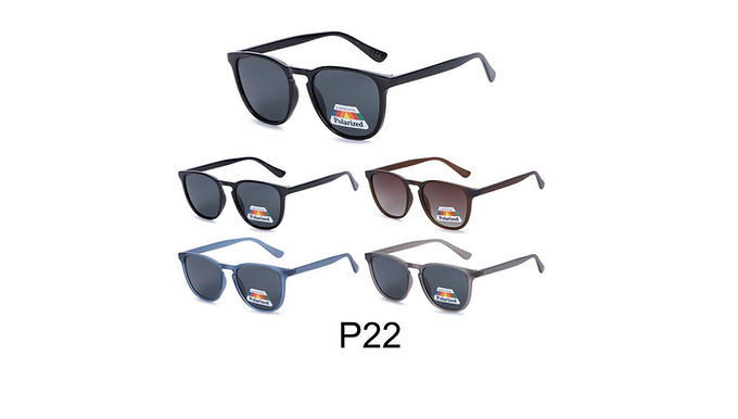 P22 POLARISE 2€50/pièce