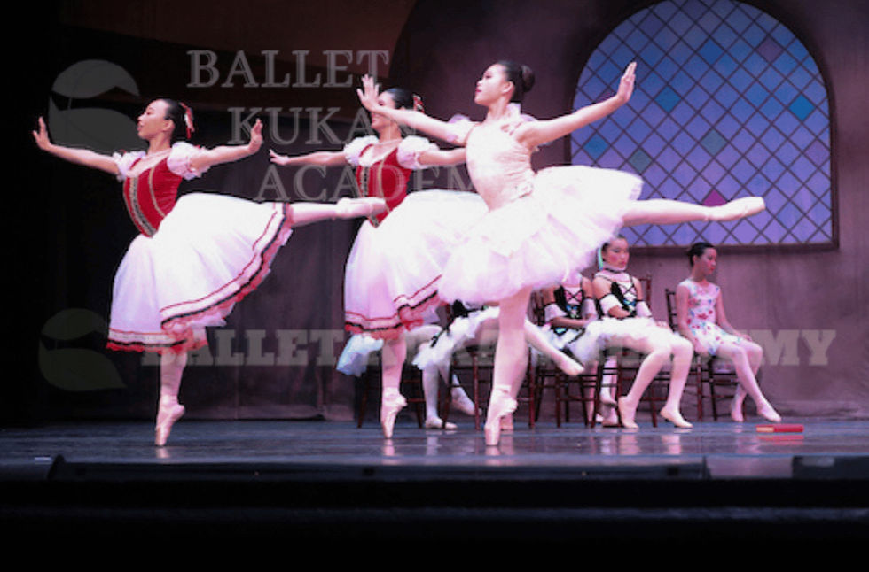 Recital Participation Form