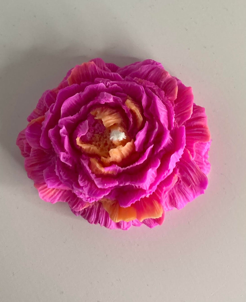 Miniature : Pivoine