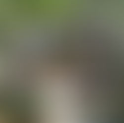 #新闻 | 光影定格,记忆留痕——2025吉隆坡摄影节