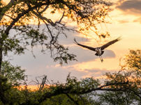 入境人数与消费支出齐升,马来西亚助推南非东南亚旅游增长