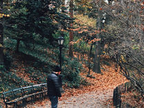 美国 | 百老汇看剧、唐人街散步、中央公园发呆 这是人生最远的一次飞行。 从吉隆坡出发,途径伊斯坦堡转机,才抵达这次目的地纽约。三座城市的跳跃,风景和人文全然不同,而有趣的是,城与城之间的飞行距离都在11小时左右。晚上从赤道起飞,下一个晚上才算真正落地。 抵达曼哈顿前,电召车司机温柔地提醒说,我们即将要进入市区。抬起头那刻,眼前的岛屿像是被高楼填满,毫无缝隙,而视角全是灯火通明的摩天大楼。这也像自带光源的长型鞋盒堆叠起来,穿过天际,很不真实的梦幻感。 哦!这就是纽约,跟电影里长得一模一样的场景。