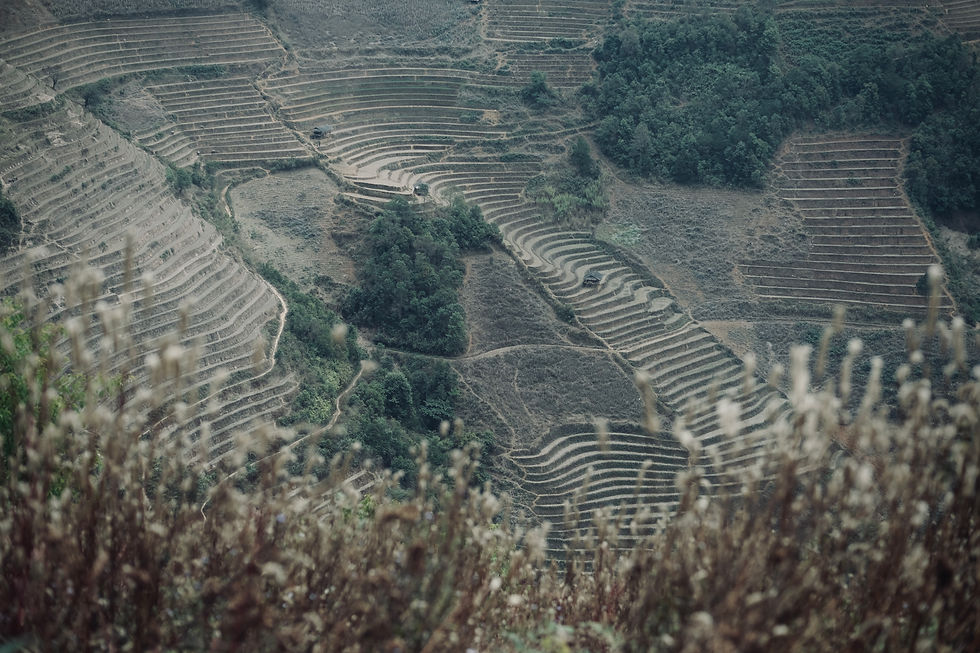 #游记 | 木江界悅柳酒店 Garrya Mu Cang Chai 住宿体验:跨越山路与雾气,只为抵达我愿远行的地方 【2026 越南住宿推荐】