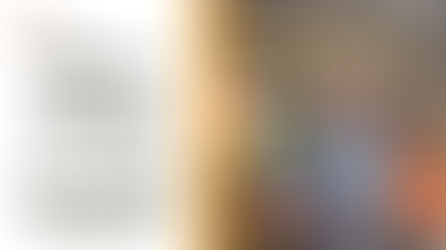 We are looking for a Multi Skilled Operative to am to provide high quality repairs and inspections throughout South Wales. 