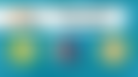 EIN GWELEDIGAETH, CENHADAETH, GWERTHOEDD 