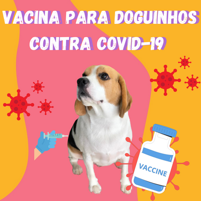 Rússia é o primeiro país a aprovar uma vacina contra a Covid-19 para animais