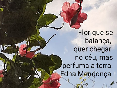 Um pouco de beleza