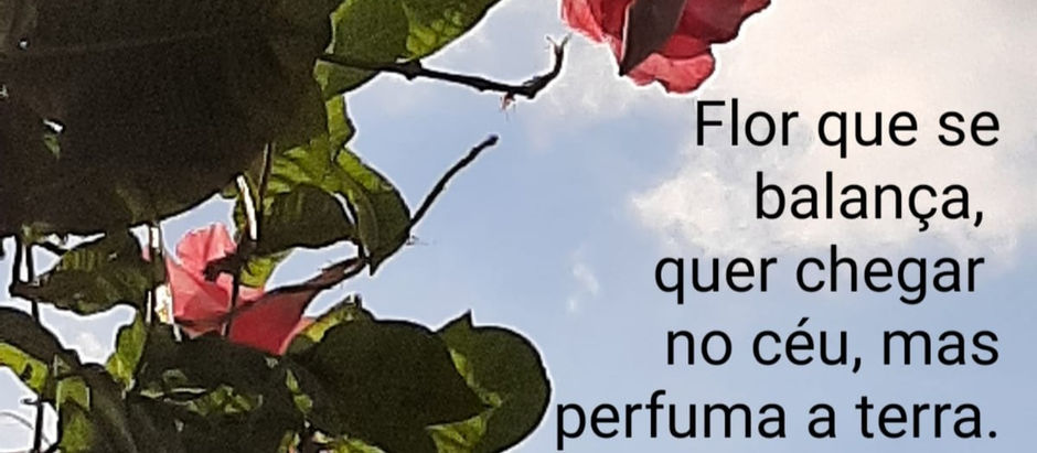 Um pouco de beleza