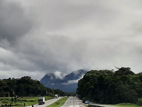 O caminho e a vida