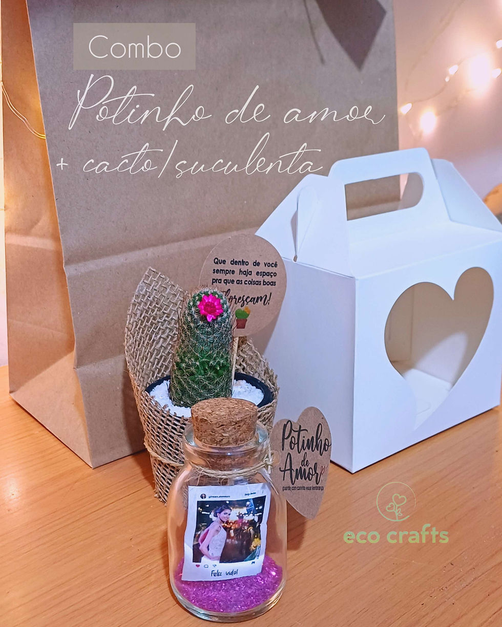 Miniatura: Presentes combos diversos