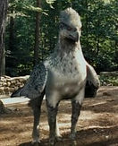 637e269af388cbec988a016dec85742d_edited.