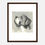 Thumbnail: A Very Modern Dog: St. Bernard