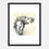 Thumbnail: A Very Modern Dog: Irish Setter