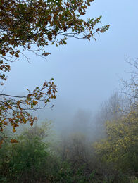 IMG_4916.jpeg