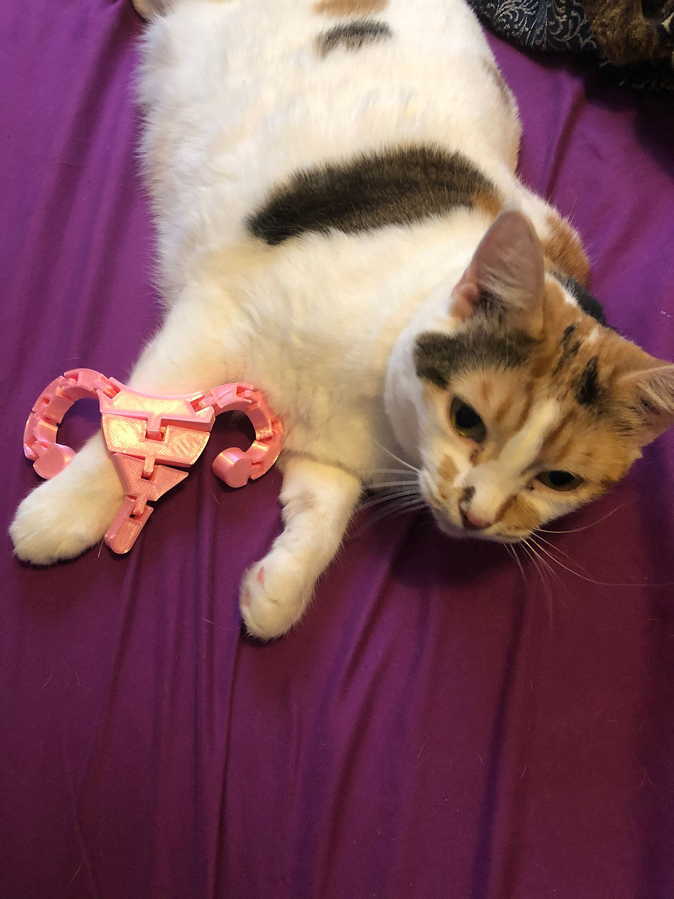 Thumbnail: Flexi Uterus Fidget Toy