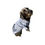 Thumbnail: Shortie -Cut Stickers