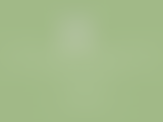 Your Career in iGaming: Finding Your Place in a World of Innovation