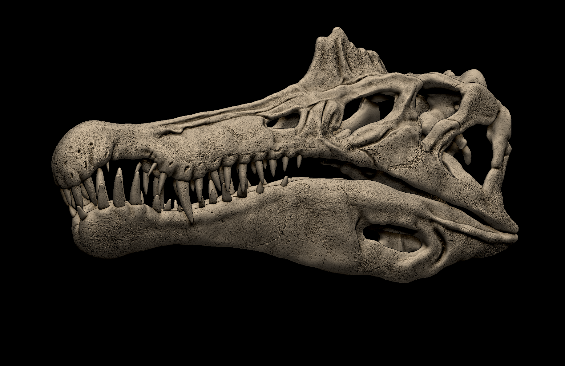 Spinosaurus aegyptiacus