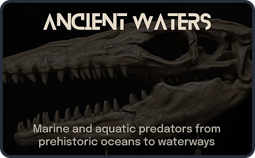 Title text that says "Ancient Waters" above a replica skull of a Mosasaurus. Underneath, text that says "Marine and aquatic predators from prehistoric oceans to waterways."