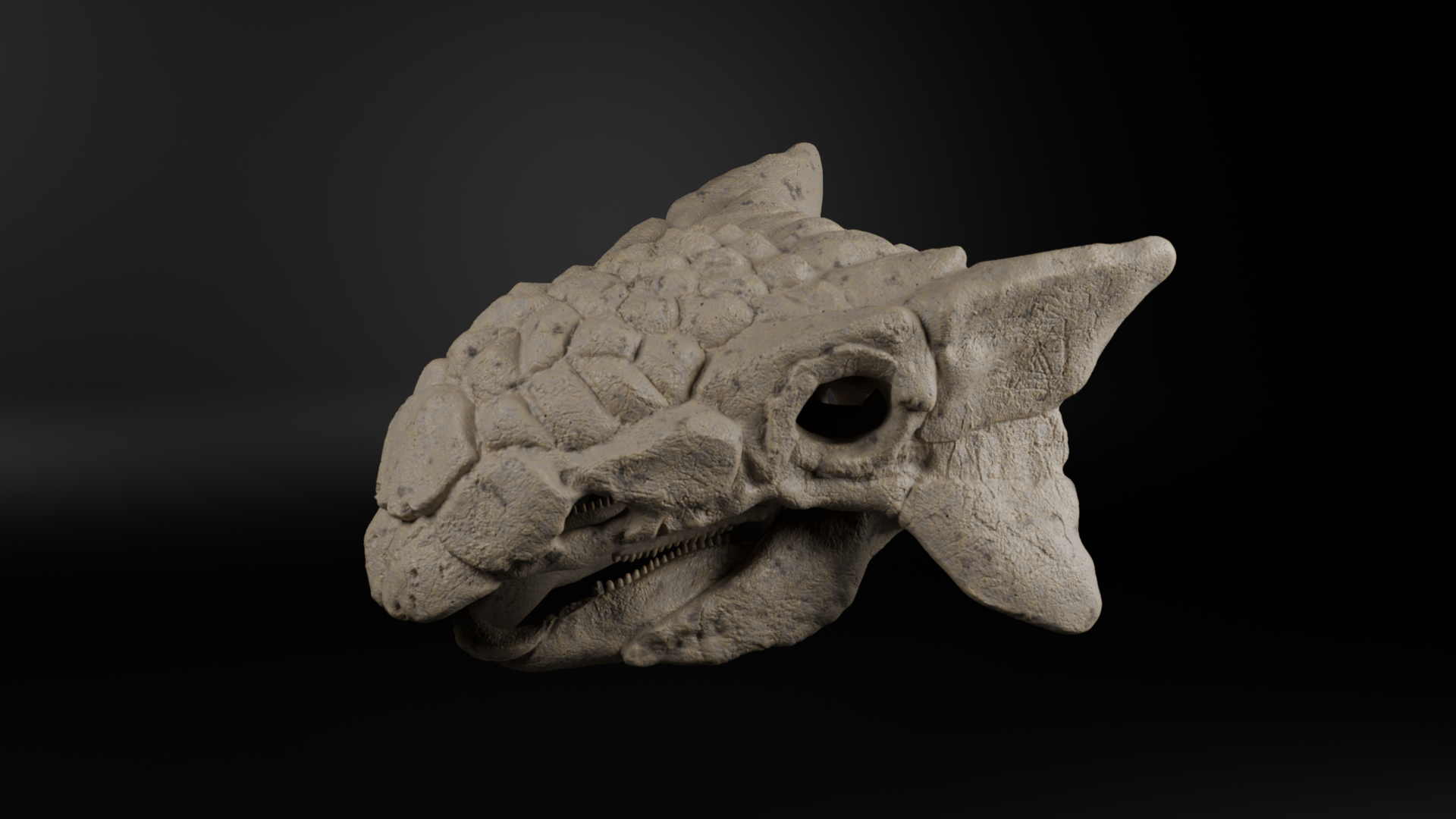 Ankylosaurus magniventris (1:2)