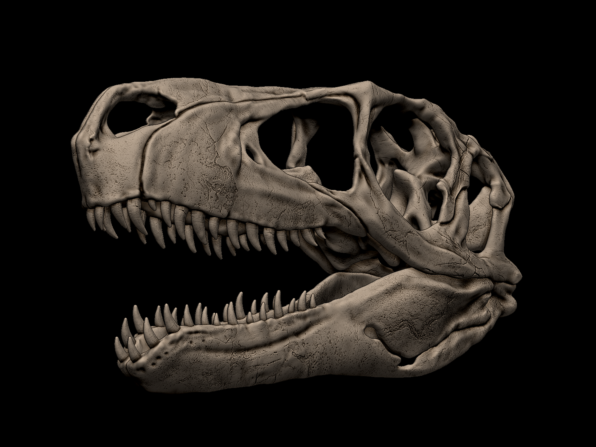 Utahraptor ostrommaysi