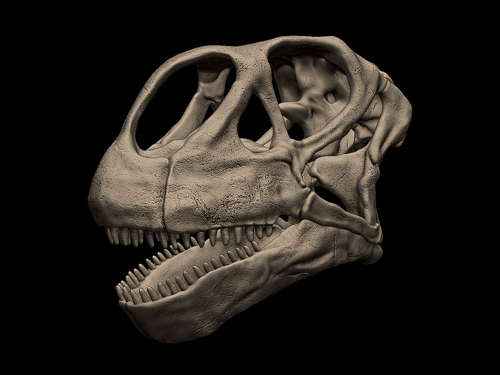 Malawisaurus skull