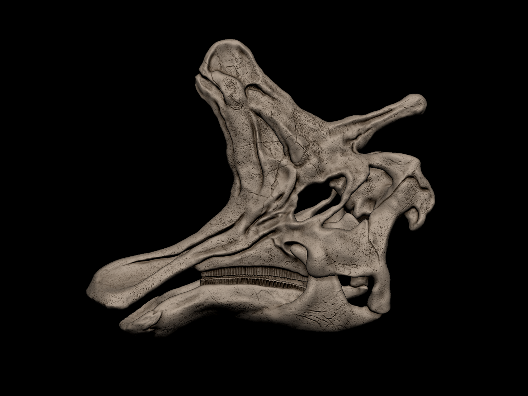 Lambeosaurus lambei