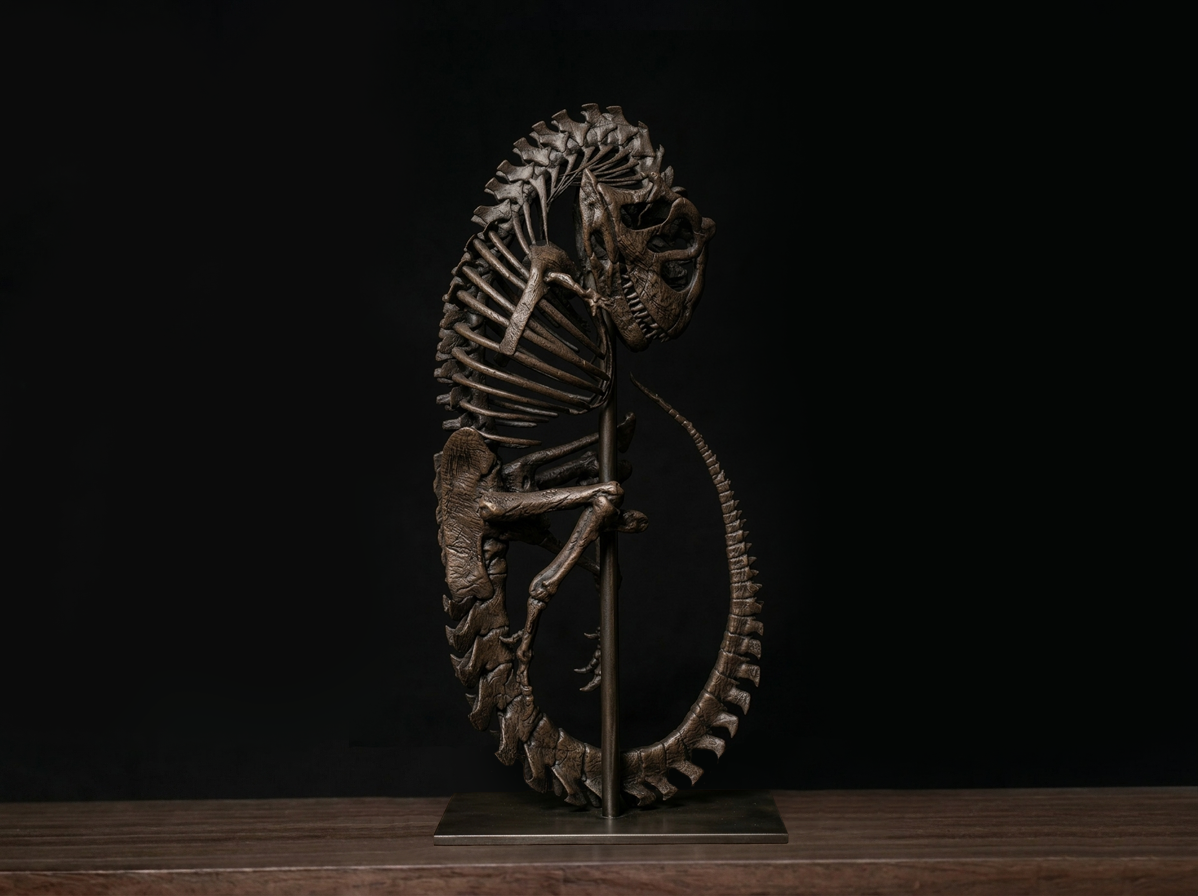 Carnotaurus sastrei: Fetal