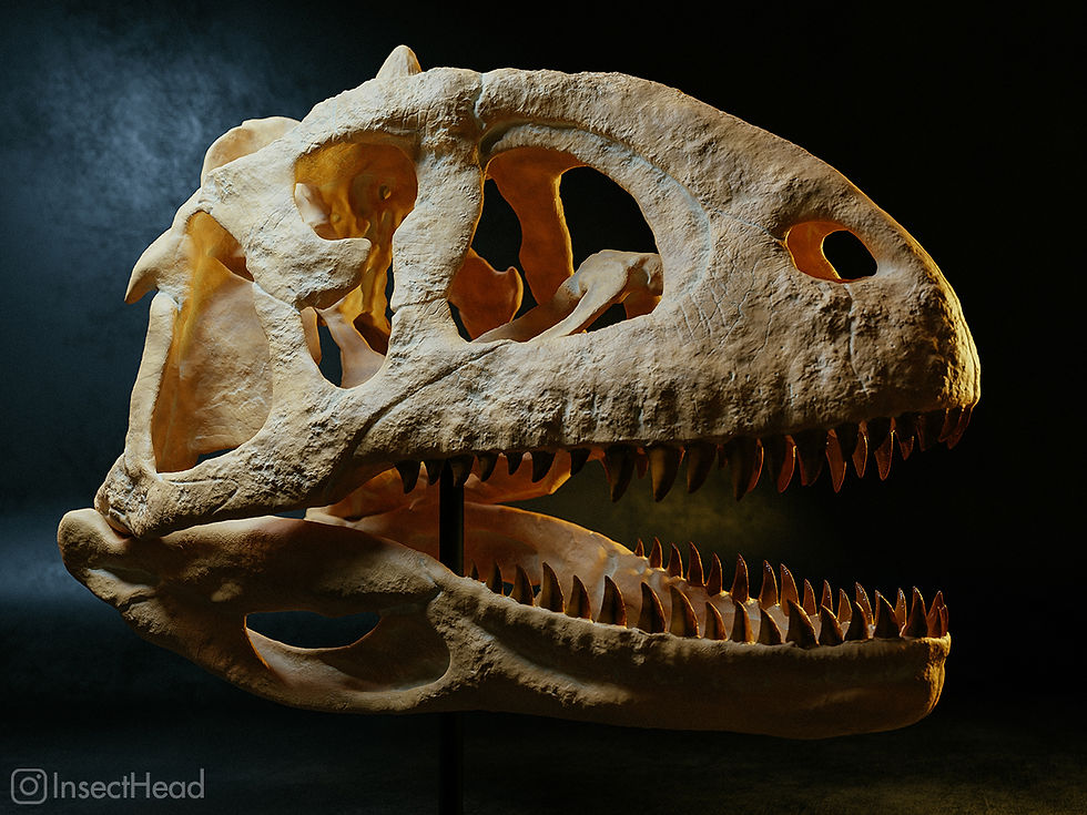 Majungasaurus *crenatissimus* skull