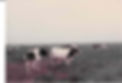 38-2.jpeg