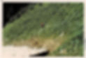 20.2-1.jpeg
