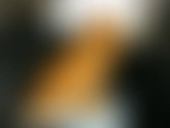 Top Reasons to Use Puppy Pads While Traveling with Your Pet