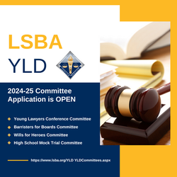 2024 YLD Committee (Instagram Post)