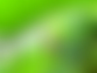 ヌッテキッテ のお散歩日記−20