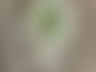 ヌッテキッテ 講習作品ー生徒さんの完成写真