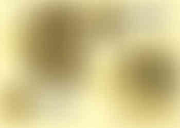 Brooklyn Museum Page 3-4