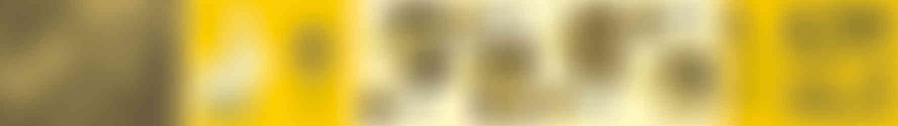 Brooklyn Museum Map & Guide Book