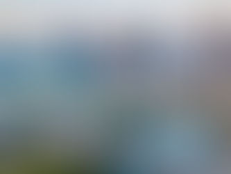 The Future Looks Bright