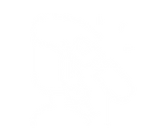 styling icon
