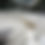 Thumbnail: 2026 Boston Whaler 280 Dauntless