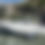 Thumbnail: 2026 Boston Whaler 130 Super Sport