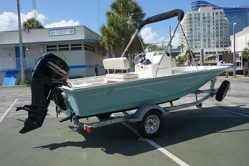 Thumbnail: 2027 Boston Whaler 150 Montauk