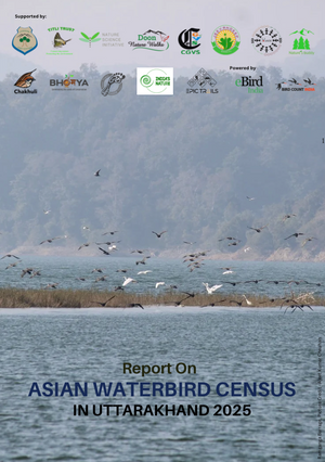 Asian Waterbird Census 2025 Report Design