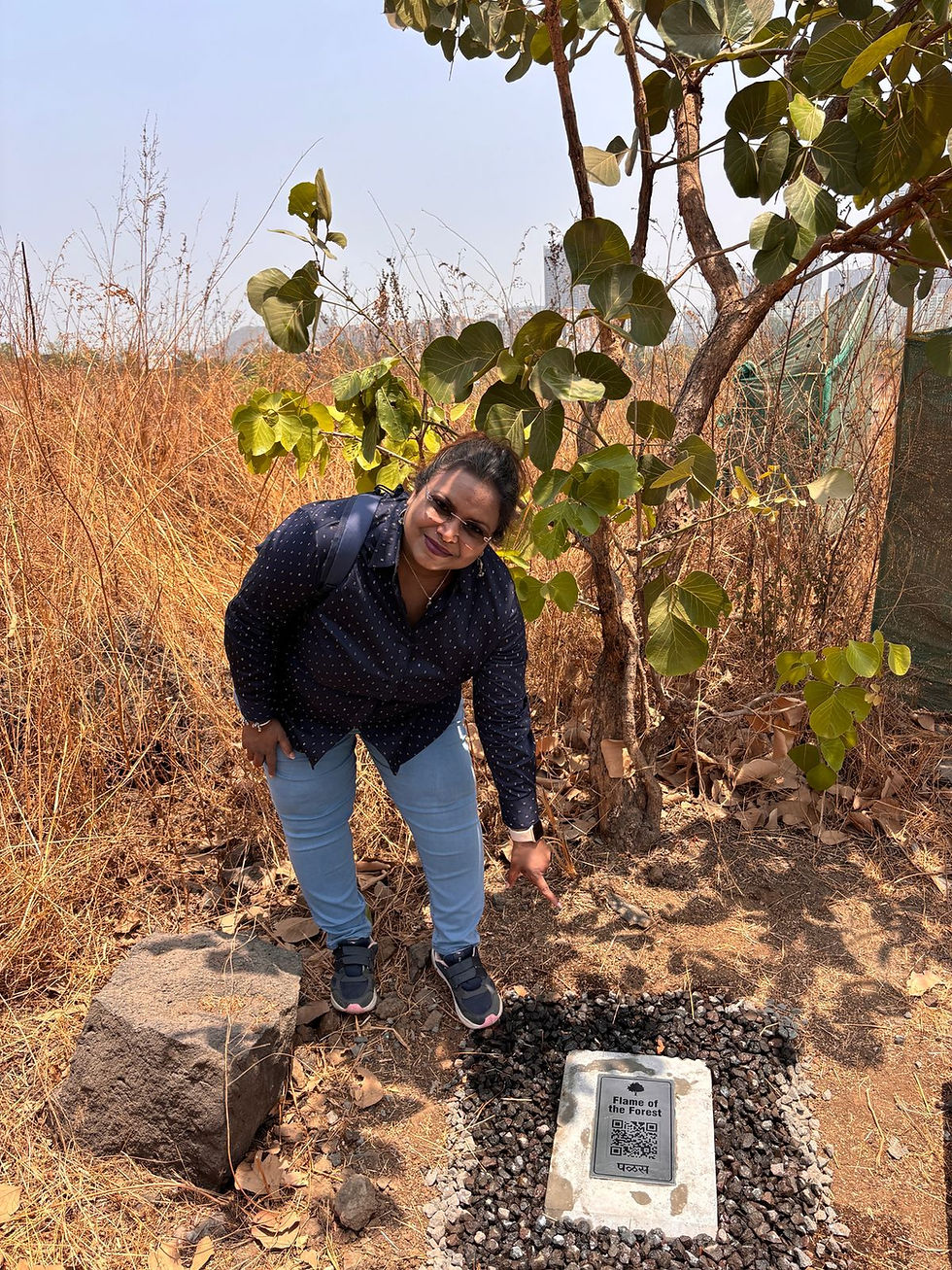 Perhaps one of the most fascinating innovations lies in the signage. Facing challenges of permanence and vandalism, Dr. Vaylure turned to an unexpected collaborator: ChatGPT. Yes, you read that right! "It was a ChatGPT idea for the signage," she reveals, highlighting the powerful potential of generative AI in solving real-world problems.