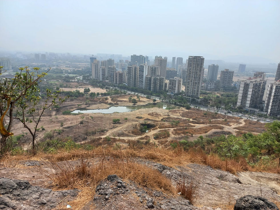 Trailblazing a New Path for Nature in India: An Interview with Dr. Shubhalaxmi Vaylure