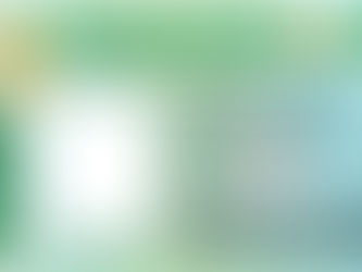 Brasil terá nova Carteira de Motorista (CNH) em 2022