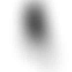 Zappi_GLO_v4_3QTR_LEFT copy