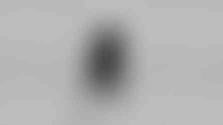 ZAPPIGLO_INSITU_RENDER_WHITE_CONCRETE_FRONT_V2_WEB copy