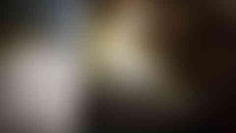 ANGLE02PLANTANGLE_HARVI_REDONEv12.jpg
